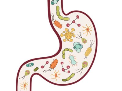 Viruses and bacteria in a stomach graphic asks the question how you can naturally improve your gut health.