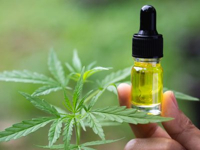 A cannabis plant next to a bottle of CBD oil indicates CBD is a new nootropic.